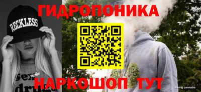jwh Кингисепп