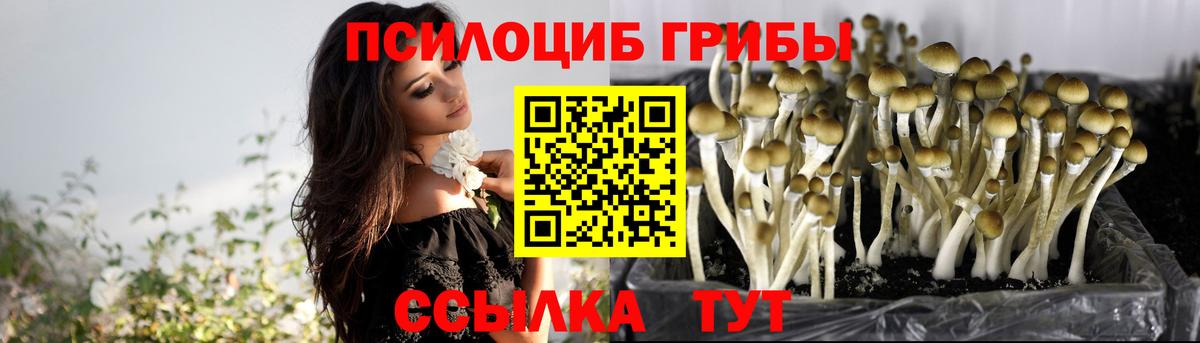 Псилоцибиновые грибы мицелий  Вход с VPN  Бутурлиновка  Псилоцибиновые грибы MAGIC MUSHROOMS 